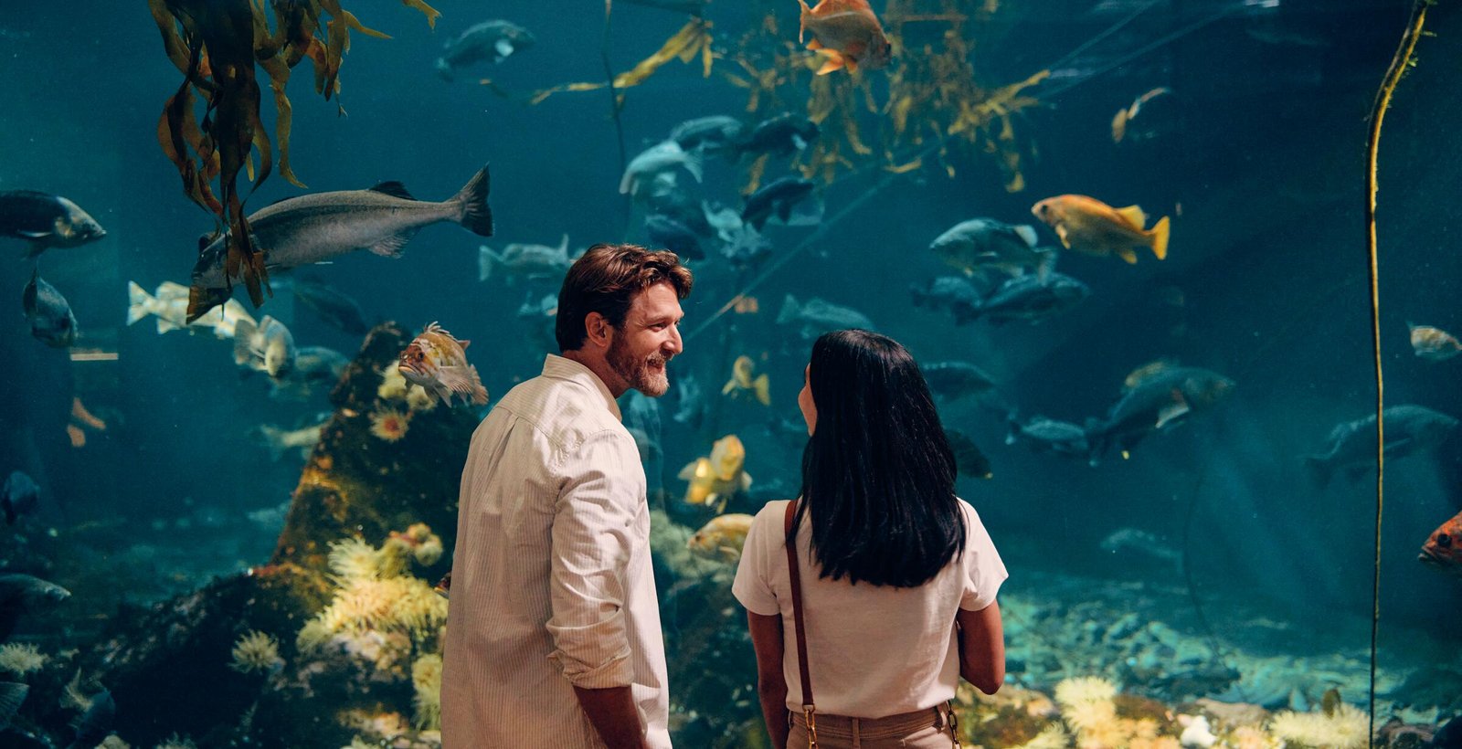 Vancouver Aquarium